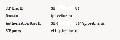 билайн 2.jpg